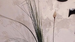 чтобы увеличить изображение нажмите на фото